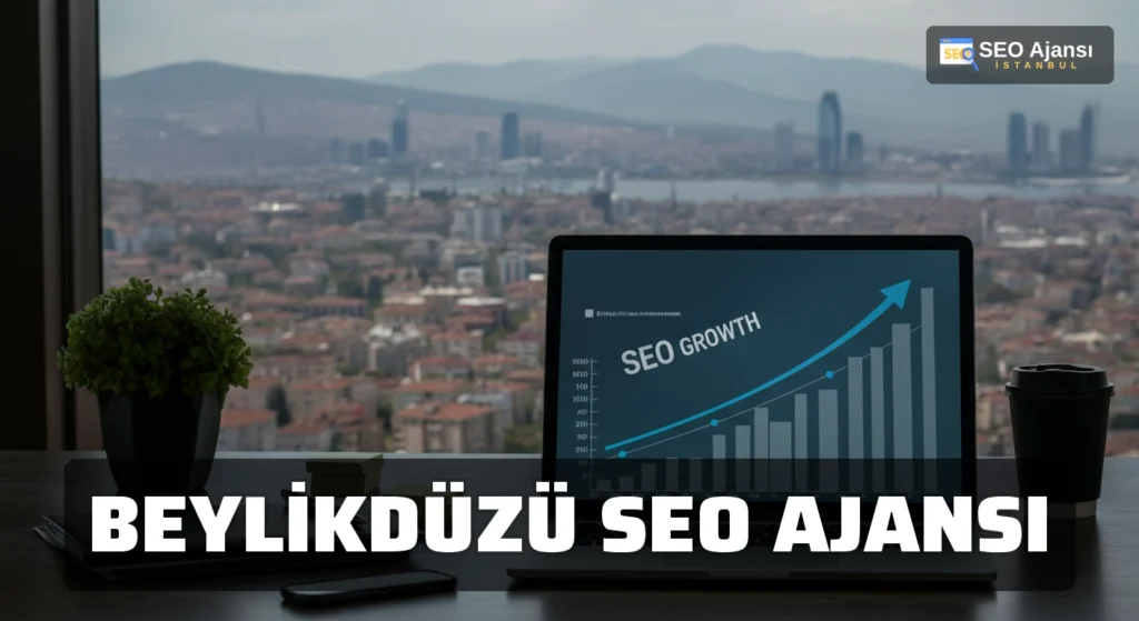 Beylikdüzü Seo Ajansı